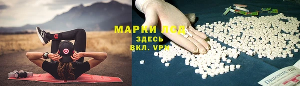 герыч Каменногорск