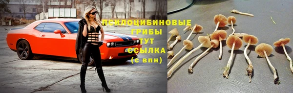 jwh Каменск-Шахтинский