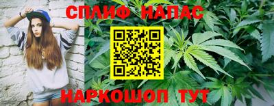 гашик Беслан